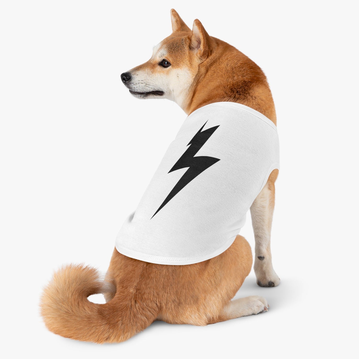 The Perfect Pet Tank Top for Walks, Play, and Everyday Wear