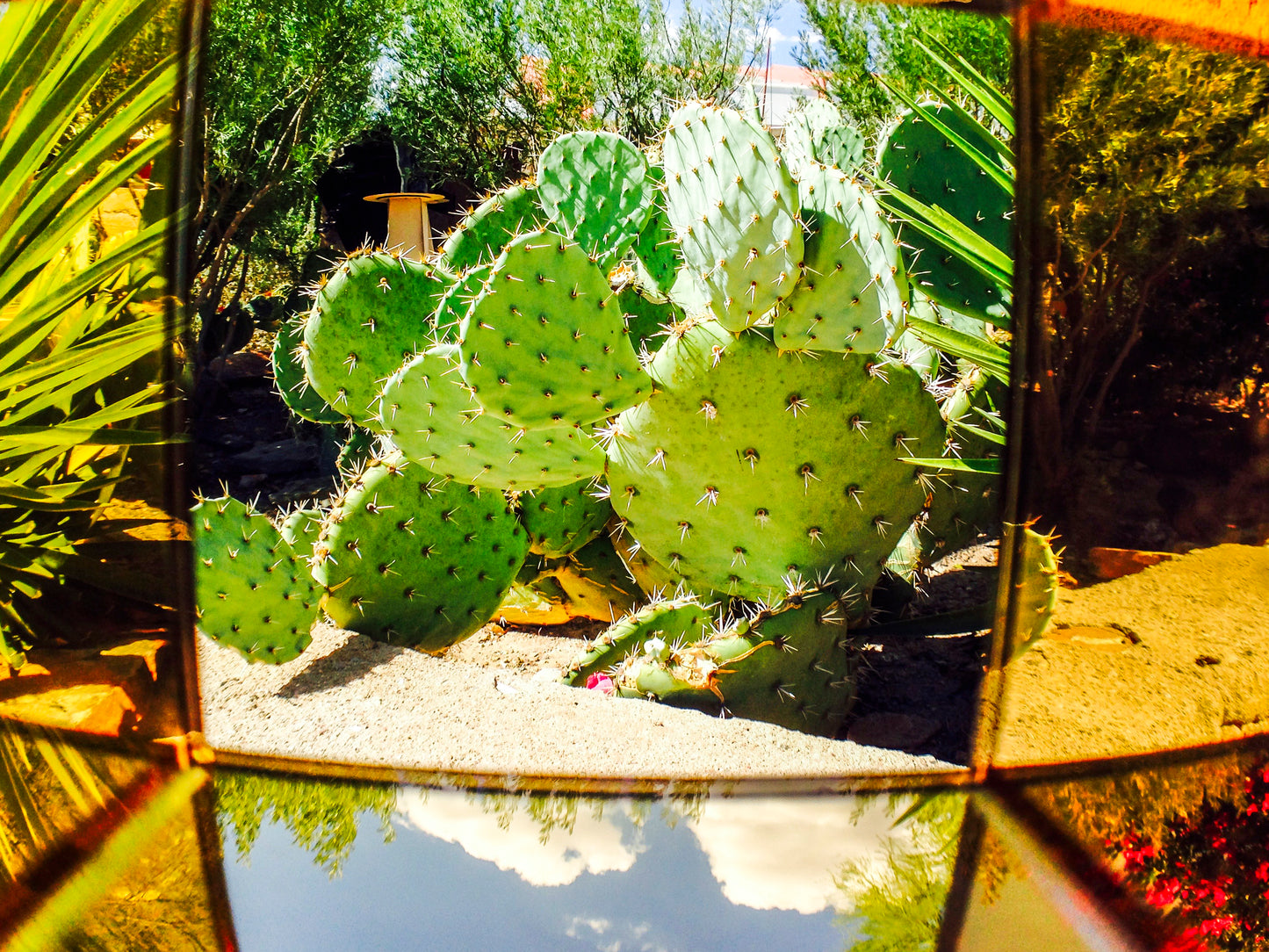 Photokodo Camera Lens